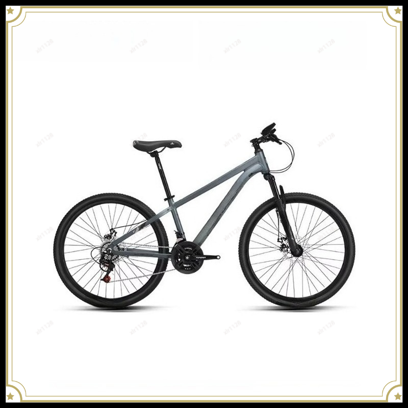 Commuting With Bike - Mountain Bike Variable Speed Bicycle for