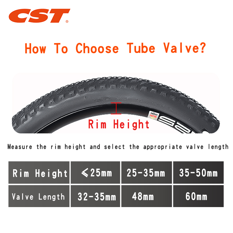2PCS CST Bike Inner Tubes 20in - Inner Tube 700C review and price